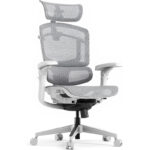 8b595a8b6caa0ef7252a42116ea1e176