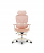 c138ecd159cfa16803a388435d084826