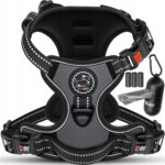 827e00d2dfd1c718f19e908838460c01