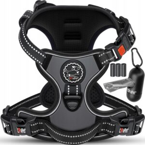 827e00d2dfd1c718f19e908838460c01