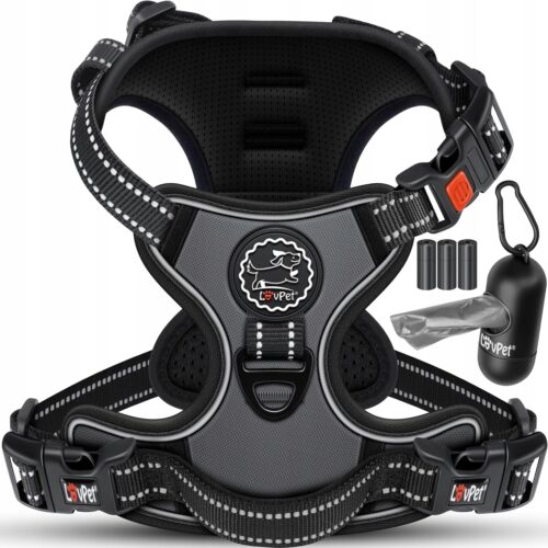 827e00d2dfd1c718f19e908838460c01