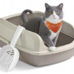 818c448ba62ea38b4847cf064451cfce